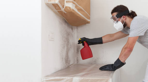 Professional Black Mold Remediation technician working in Milton, GA