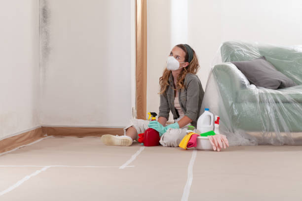 Reliable Black Mold Remediation contractor in Milton, GA by 24 Hour Mold Removal
